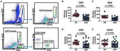 Association of Apoptosis-Mediated CD4+ T Lymphopenia With Poor Outcome After Type A Aortic Dissection Surgery